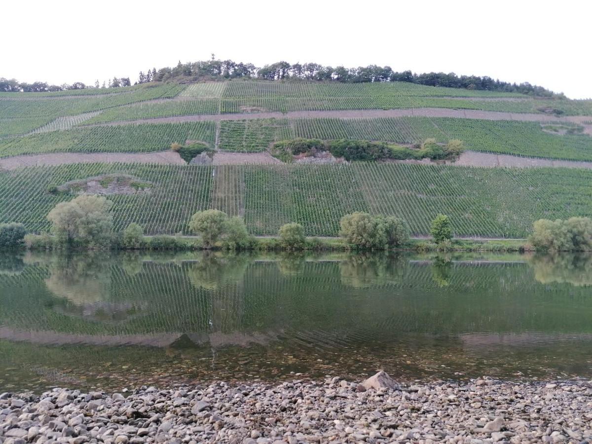 Fewo Sonnenlay - Apartments An Der Mosel Браунеберг Экстерьер фото
